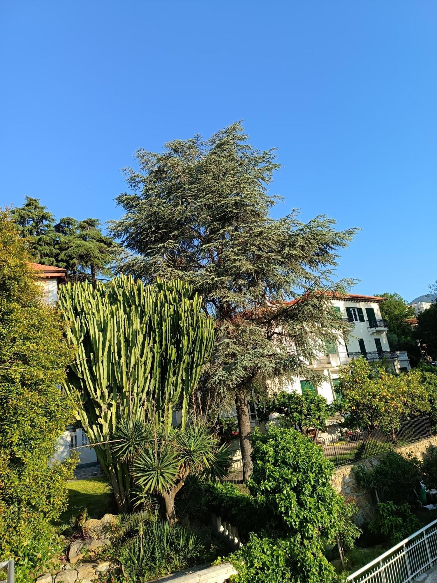 Casa Francesca Con Parcheggio Gratuito Sanremo Exterior foto